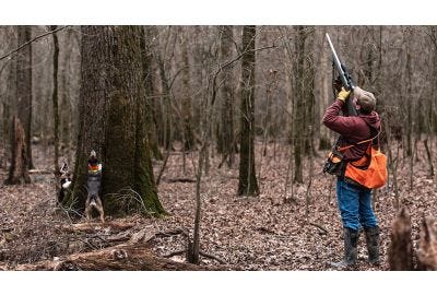 Late season squirrel hunt with dogs