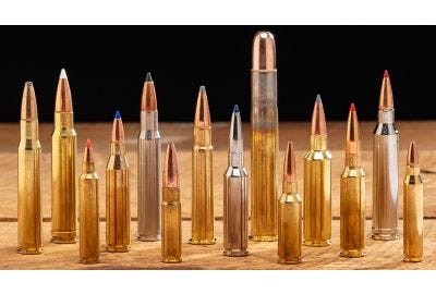 Making Sense Of Bullets with an image of multiple types of bullets cover
