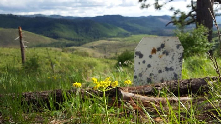 How To Shoot Safely On Your Public Lands