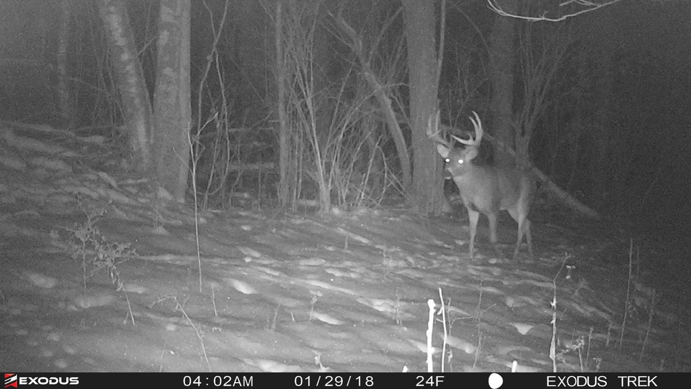 best night trail camera